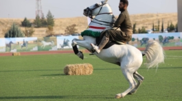 401763572_122123079008073017_4352663449488561374_n