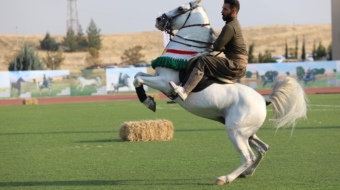 401763572_122123079008073017_4352663449488561374_n