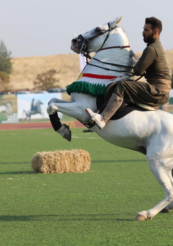 401763572_122123079008073017_4352663449488561374_n