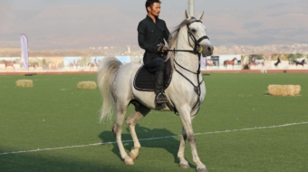 401851920_122123079068073017_1820113605800829084_n (1)